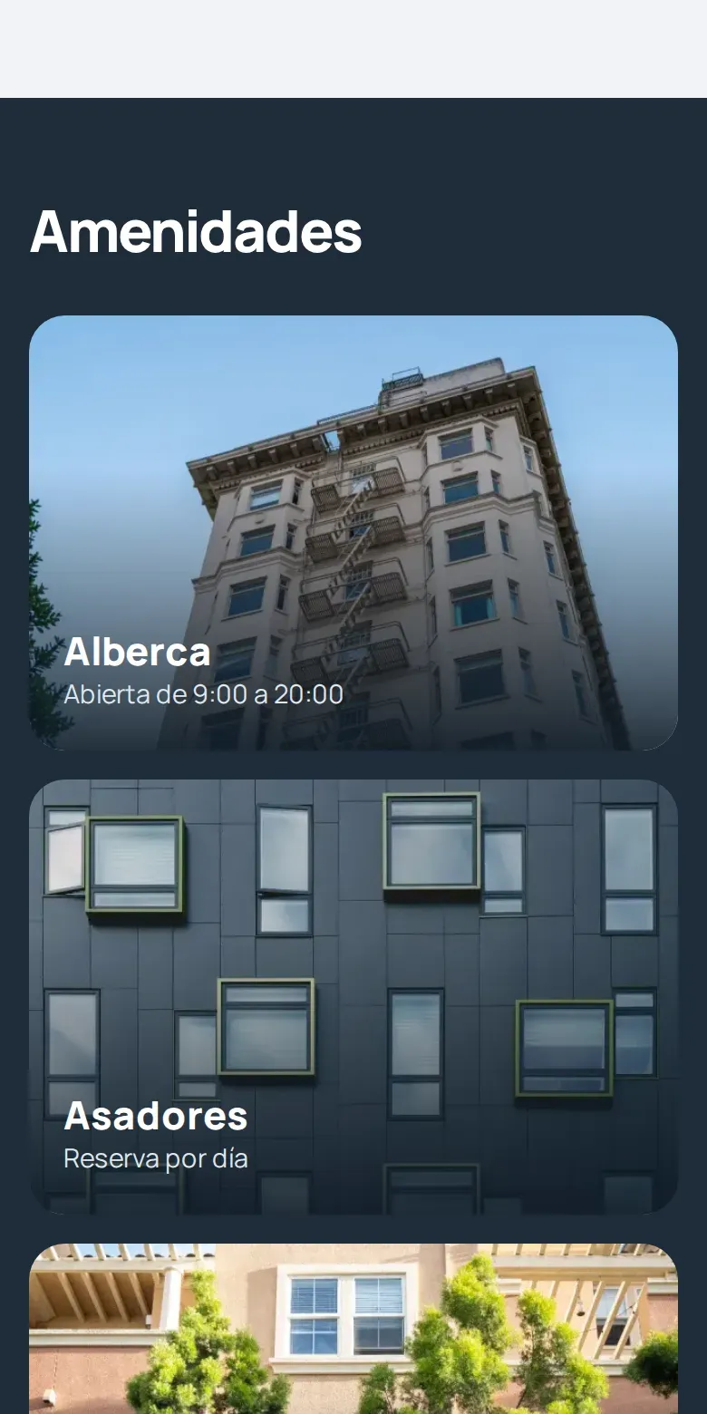 Vista de la página de Residencial Altos del Pedregal en celular