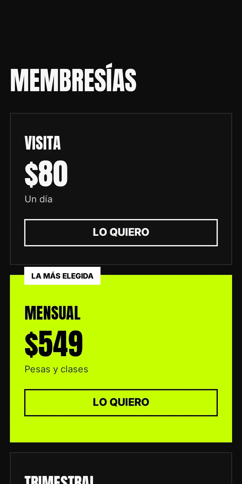 Vista de la página de Fuerza Norte Gym en celular