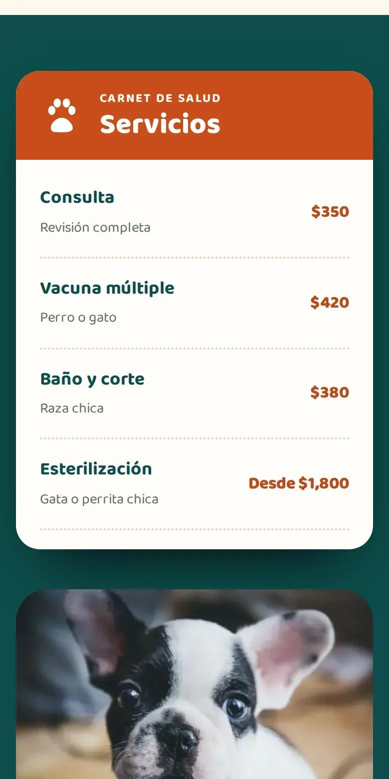 Vista de la página de Veterinaria Huellitas en celular