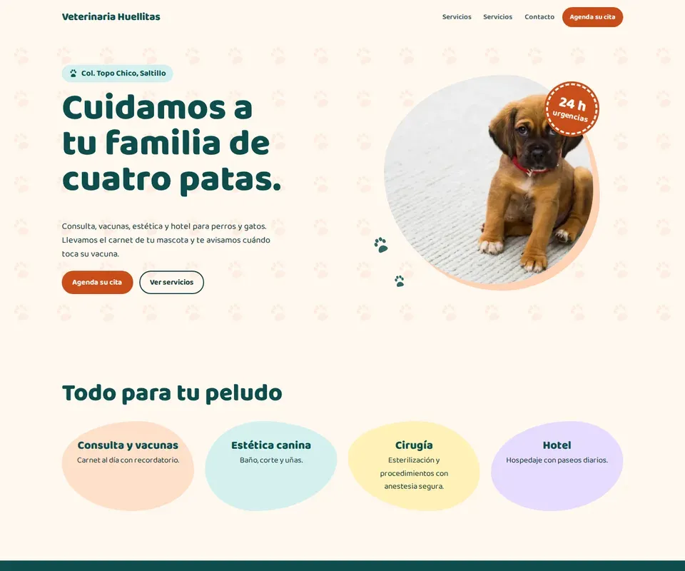 Vista de la página de Veterinaria Huellitas en computadora